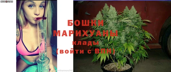 ECSTASY Вяземский