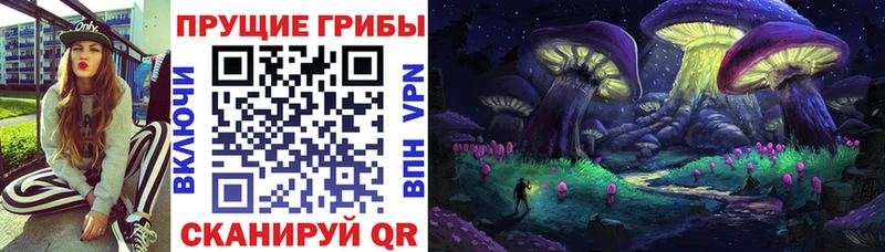купить закладку  Гусь-Хрустальный  KRAKEN ссылка  Псилоцибиновые грибы Magic Shrooms 